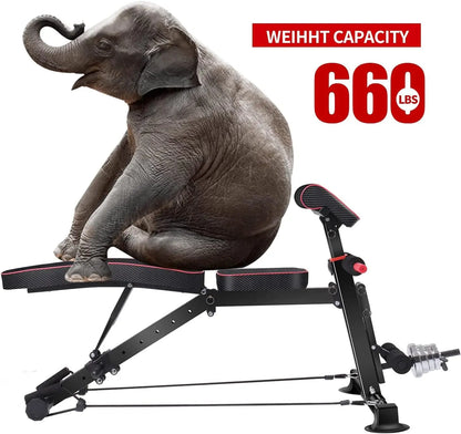 Adjustable Weight Bench - Utility workout Benches for Exercise, Free Installation Design for Portable Fitness Strength Training